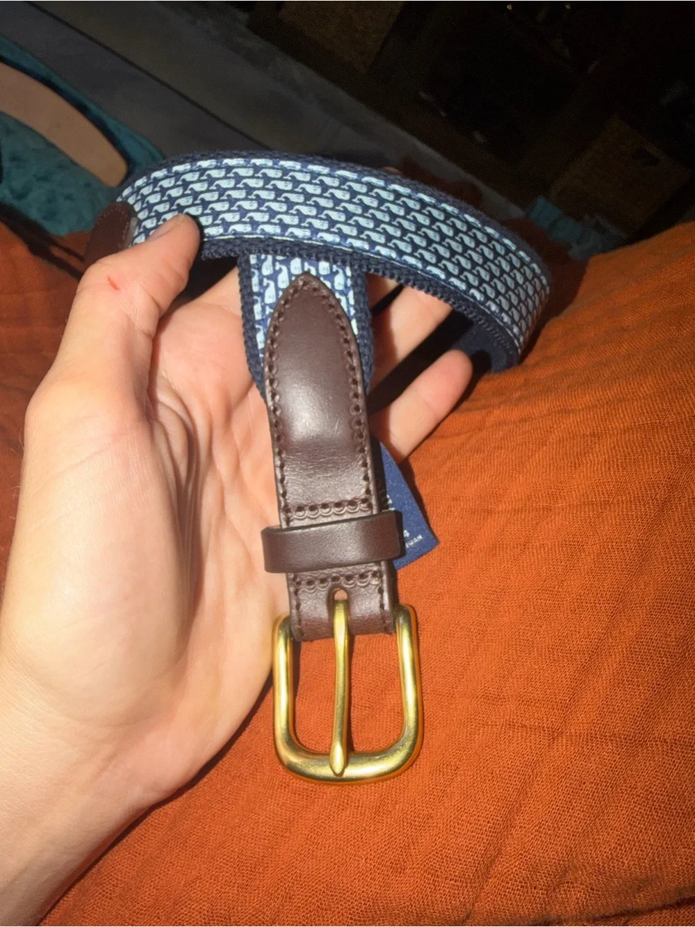 Boys Vineyard Vines Whale Canvas Club Belt